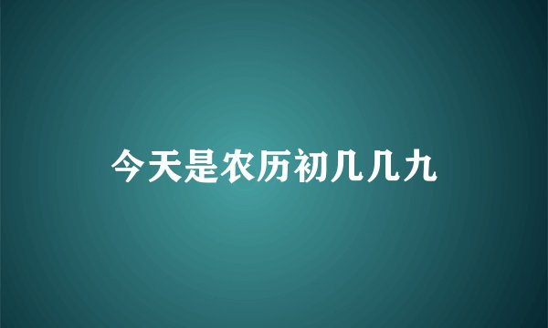 今天是农历初几几九