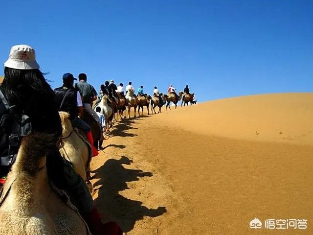 沙芥怎么吃?