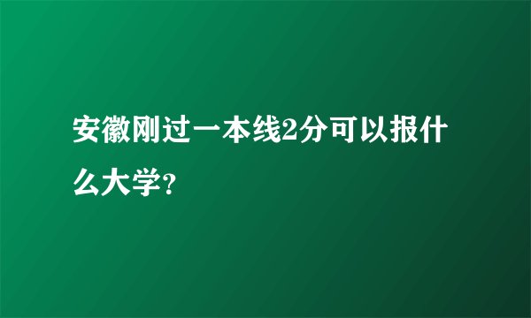 安徽刚过一本线2分可以报什么大学？