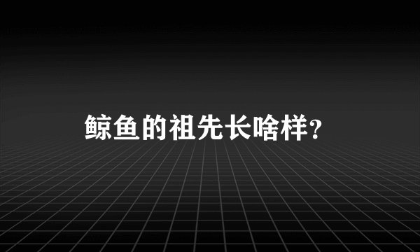鲸鱼的祖先长啥样?
