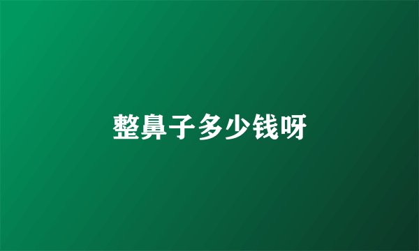 整鼻子多少钱呀
