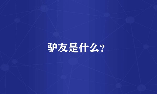 驴友是什么?