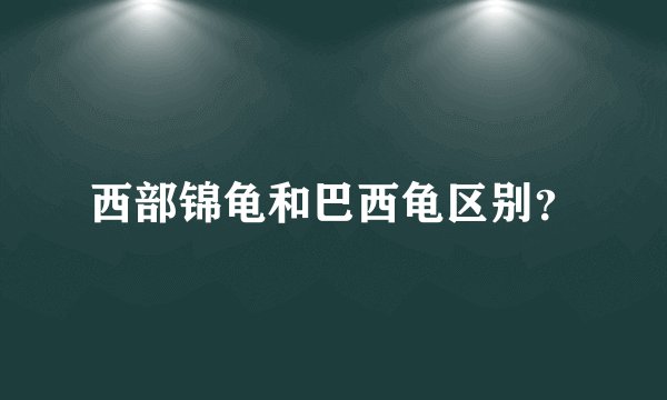西部锦龟和巴西龟区别？