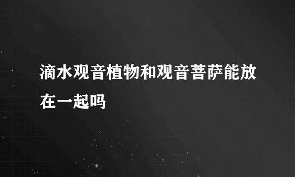 滴水观音植物和观音菩萨能放在一起吗