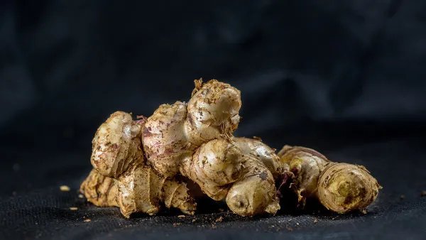 附子理中丸的成分