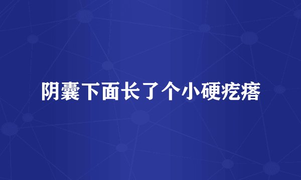 阴囊下面长了个小硬疙瘩