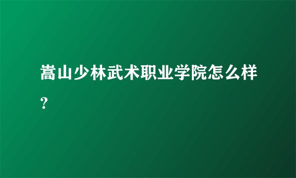 嵩山少林武术职业学院怎么样？