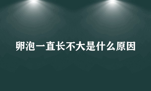 卵泡一直长不大是什么原因