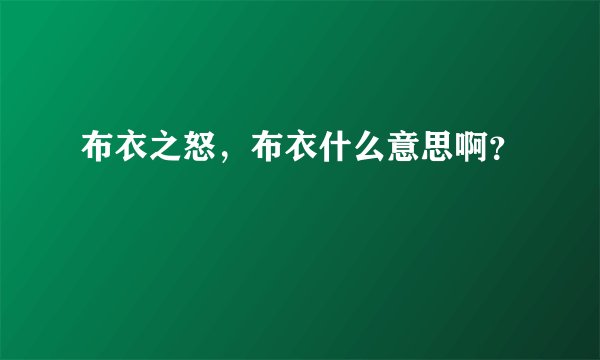 布衣之怒，布衣什么意思啊？