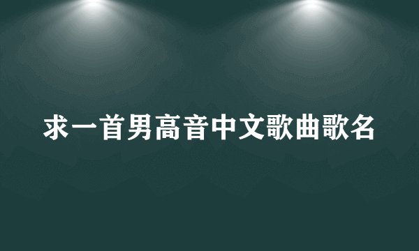 求一首男高音中文歌曲歌名