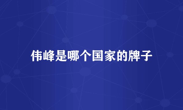 伟峰是哪个国家的牌子