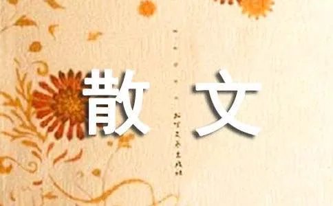当我开始偷偷的想你散文