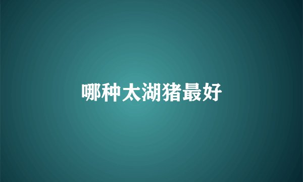 哪种太湖猪最好