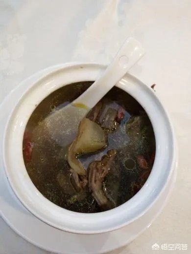 老斑鸠怎么做好吃?