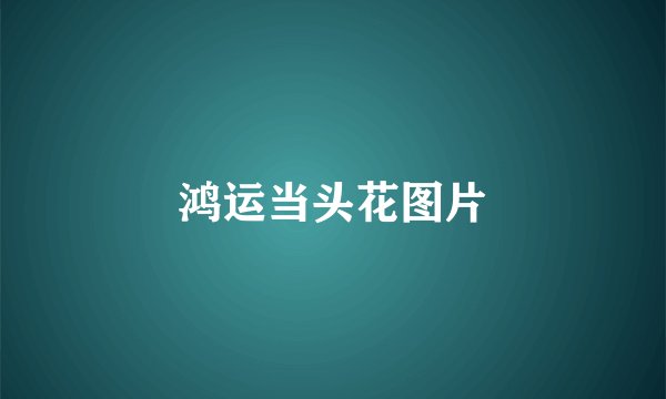 鸿运当头花图片