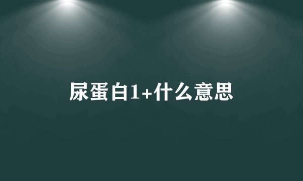 尿蛋白1+什么意思