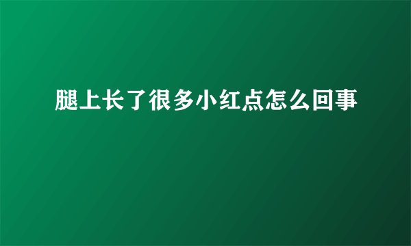 腿上长了很多小红点怎么回事
