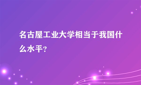 名古屋工业大学相当于我国什么水平？