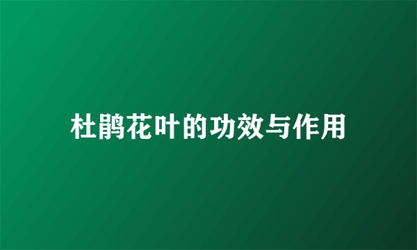 杜鹃花叶的功效与作用