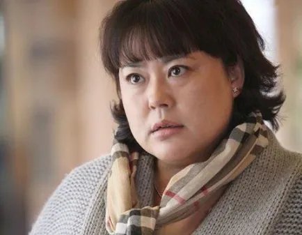 李菁菁演过的电视剧