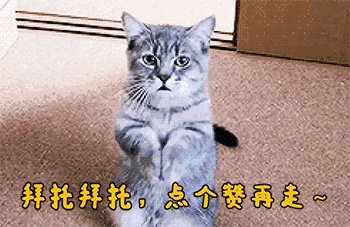俄乌局陡然紧张,美伊对抗升级,叙利亚战乱不断,俄罗斯是否有被东西夹击之势?对此你怎么看?