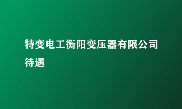 特变电工衡阳变压器有限公司待遇