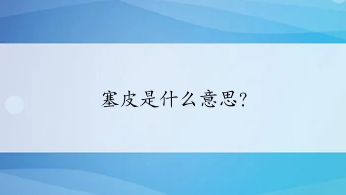 塞皮是什么意思?