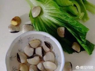 沙芥怎么吃?