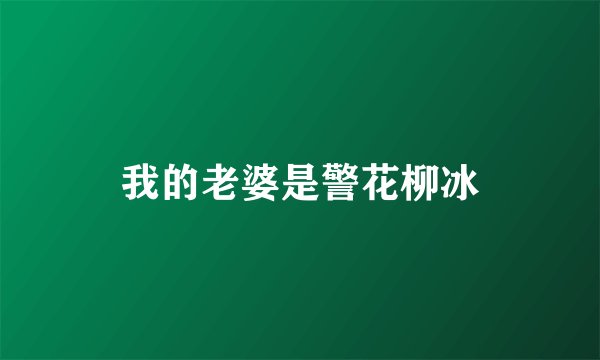 我的老婆是警花柳冰