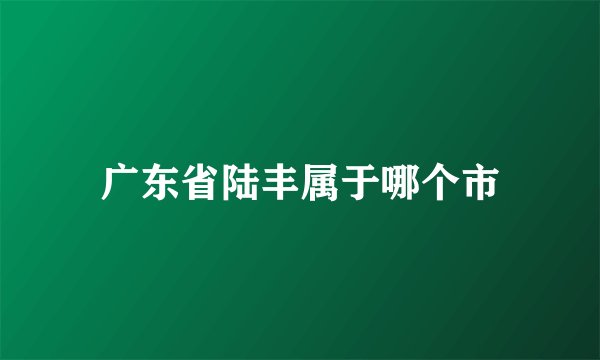 广东省陆丰属于哪个市