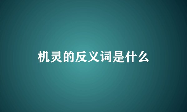 机灵的反义词是什么