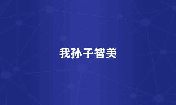 我孙子智美