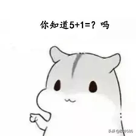 5 1等于多少