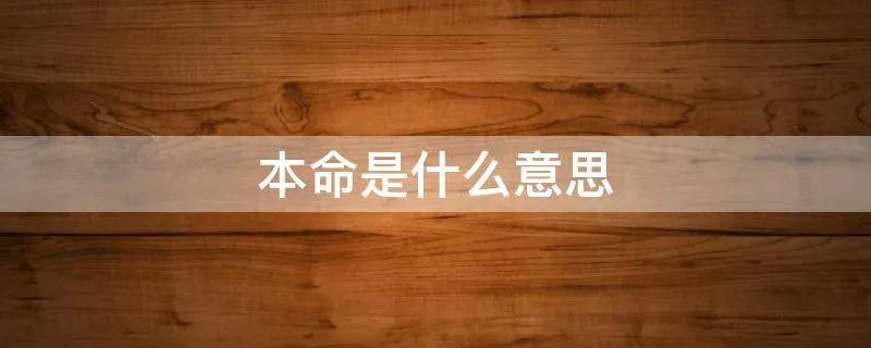 本命是什么意思