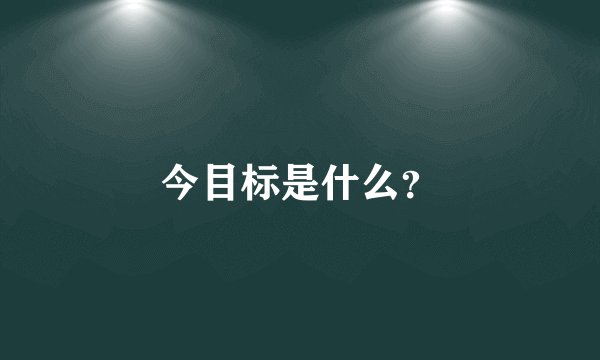 今目标是什么？