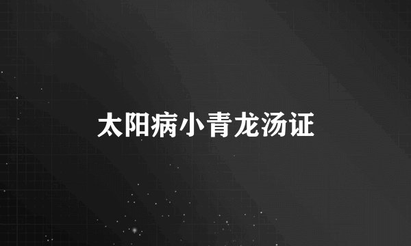 太阳病小青龙汤证