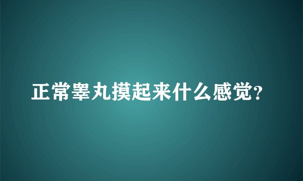正常睾丸摸起来什么感觉？