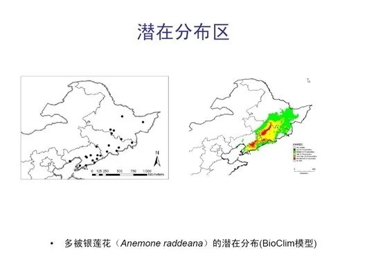 物种进化方式的介绍