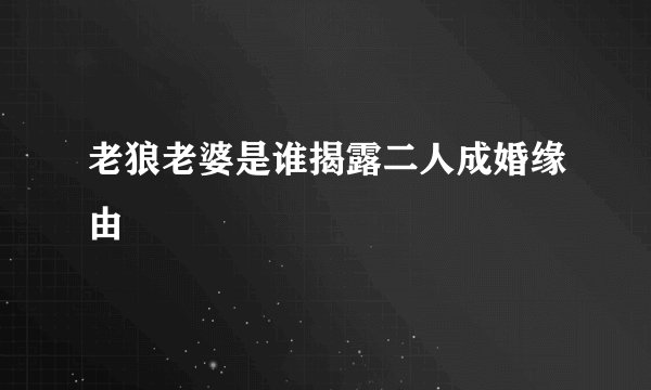 老狼老婆是谁揭露二人成婚缘由