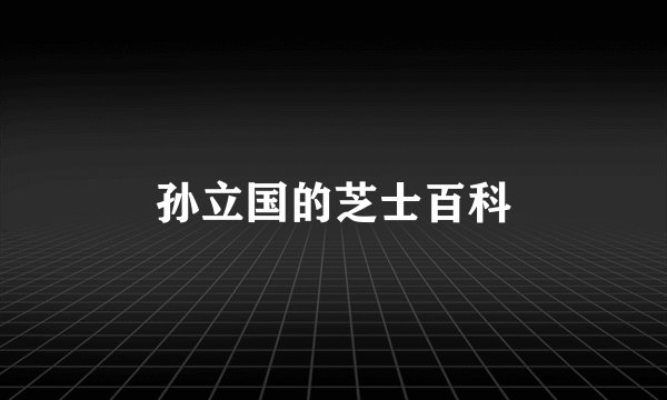 孙立国的芝士百科