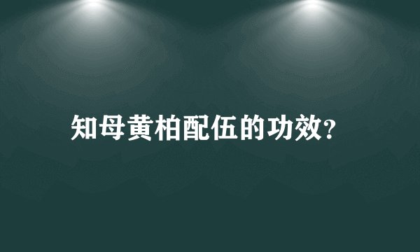 知母黄柏配伍的功效？