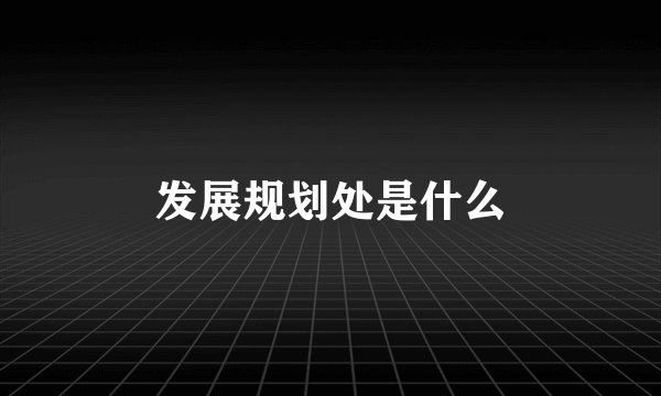发展规划处是什么