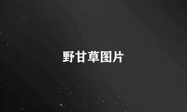 野甘草图片