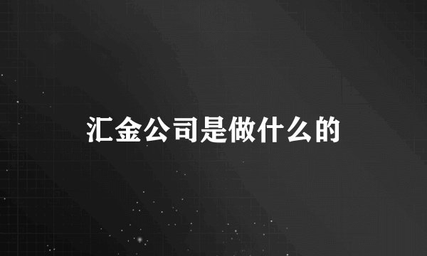 汇金公司是做什么的
