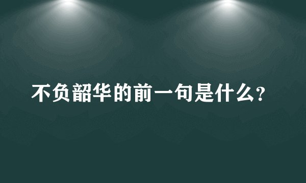不负韶华的前一句是什么？
