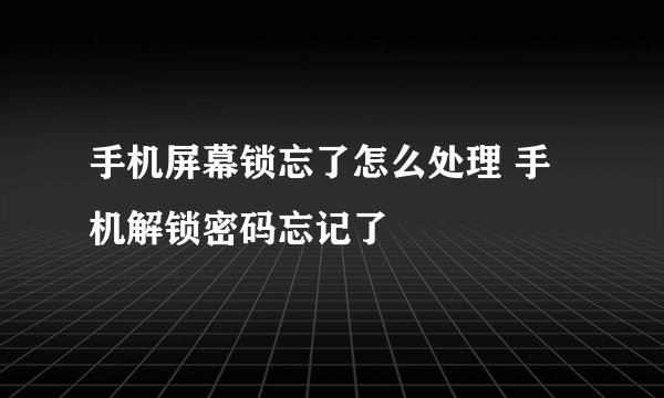 手机屏幕锁忘了怎么处理 手机解锁密码忘记了
