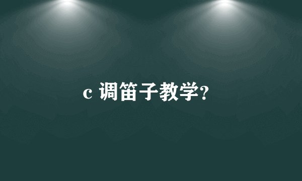 c 调笛子教学？