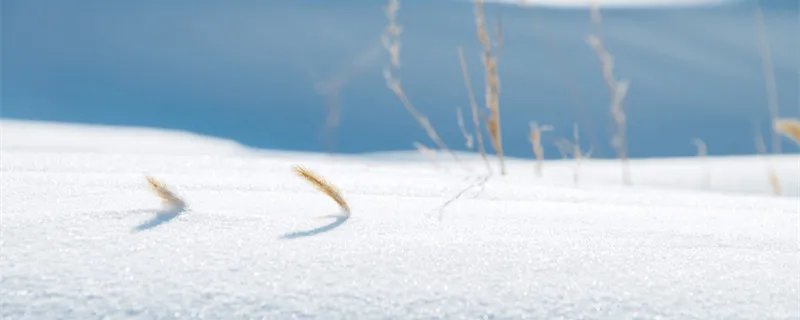 雪的形成 雪的形成原理