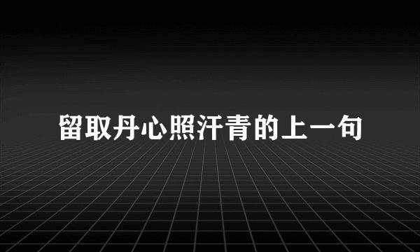 留取丹心照汗青的上一句