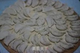 羊肉胡萝卜水饺